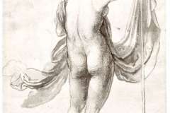 nude-study-nude-female-from-the-back-1495