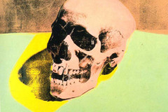 skull