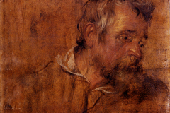 profile-study-of-a-bearded-old-man