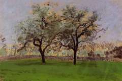 apples-trees-at-pontoise