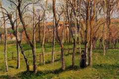 meadow-at-bazincourt-1885