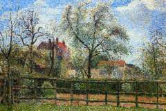 pear-tress-in-bloom-eragny-morning