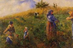 picking-peas-1880