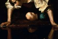 narcissus