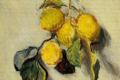 branch-of-lemons