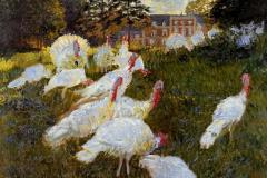 the-turkeys