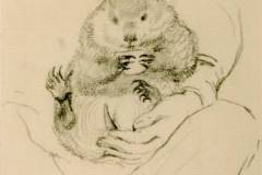 image-of-artist-and-his-exotic-pet-1871