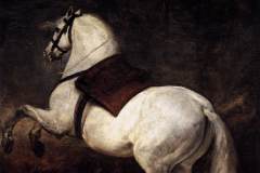 a-white-horse