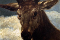 head-of-a-stag-1634