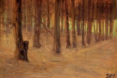 forest-with-sunlit-clearing-in-the-background-1907