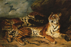 a-young-tiger-playing-with-its-mother-1831