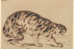 Eugène Delacroix (French, Charenton-Saint-Maurice 1798–1863 Paris)
Crouching Tiger, 1839
French, 
Pen and brush with brown ink on wove paper; Overall: 5 3/16 x 7 3/8 in. (13.1 x 18.7 cm)
The Metropolitan Museum of Art, New York, Gift from the Karen B. Cohen Collection of Eugène Delacroix, in honor of Sanford I. Weill, 2013 (2013.1135.5)
http://www.metmuseum.org/Collections/search-the-collections/336529