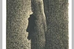 the-black-bow