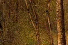 the-forest-at-pontaubert