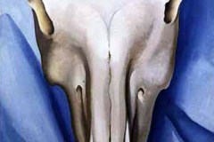 horse-s-skull-on-blue