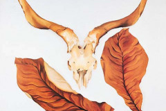 ram-s-skull-with-brown-leaves