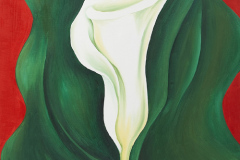 single-calla-lily-red