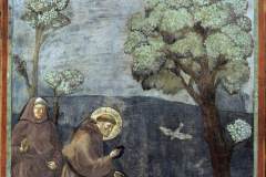 Giotto-Eserleri-11