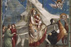 Giotto-Eserleri-58