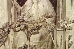 Giotto-Eserleri-61