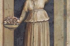 Giotto-Eserleri-82