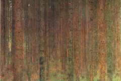 pine-forest-ii