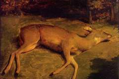 the-dead-doe-1857