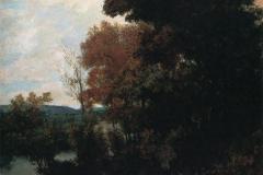 the-forest-edge