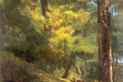 two-roe-deers-in-the-forest