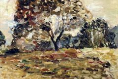 henri-matisse-landscape-of-corsica