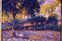 landscape-with-eucalyptus-trees-and-river-trees-in-front-of-a-river-1908