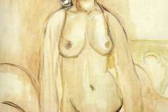 nude-4
