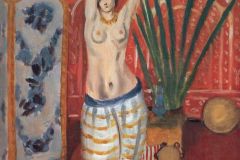 odalisque-with-a-green-plant-and-screen-1923