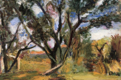 olive-tree1898-by-henri-matisse