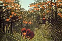 apes-in-the-orange-grove