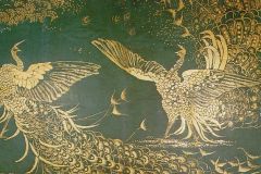 peacock-fight