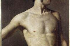 male-torso-1