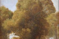 study-of-trees-1849