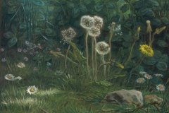 dandelions-1868