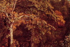wooded-landscape-1802