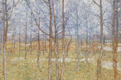 spring-landscape