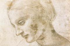 study-of-a-woman-s-head