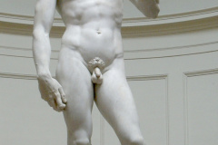 david-1504