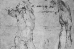 male-nude-and-arm-of-bearded-man-1504