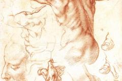 study-to-the-libyan-sibyl