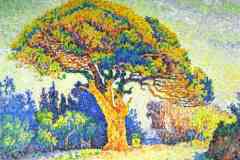 the-pine-tree-at-st-tropez-1909