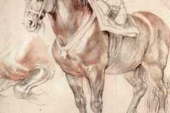 etude-of-horse
