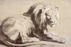 etude-of-lion