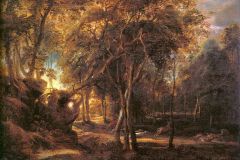 forest-landscape-at-the-sunrise