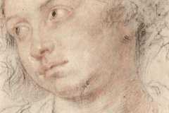 head-of-woman-1